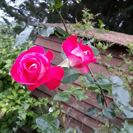 1 A 2 Chez Valerie Gouffe Panzió *