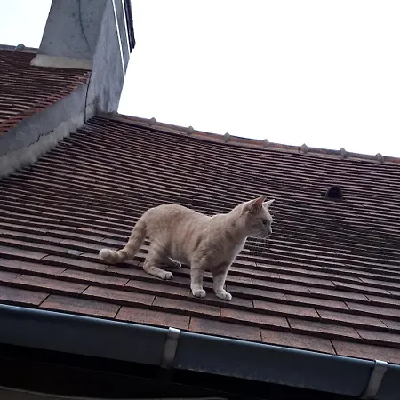 1 A 2 Chez Valerie Gouffe Parigné-lʼÉvêque