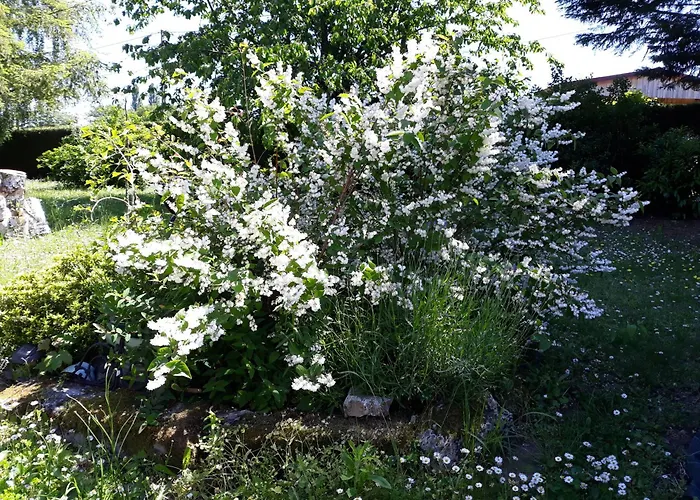 1 à 2 Chez Valérie Gouffé Parigné-lʼÉvêque