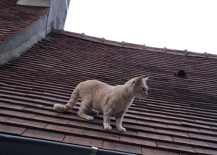 1 à 2 Chez Valérie Gouffé Parigné-lʼÉvêque